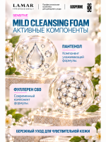 LAMAR PROFESSIONAL MILD CLEANSING FOAM &mdash; пенка для умывания бессульфатная успокаивающая с экстрактом гамамелиса, 150 мл