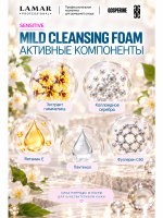 LAMAR PROFESSIONAL MILD CLEANSING FOAM &mdash; пенка для умывания бессульфатная успокаивающая с экстрактом гамамелиса, 150 мл
