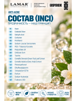 LAMAR PROFESSIONAL CORRECTOR MASK &mdash; маска-корректор против несовершенств кожи с салициловой кислотой и серебром, 100 мл