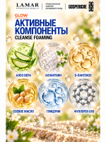 LAMAR PROFESSIONAL CLEANSE FOAMING &mdash; крем-пенка очищающая с алоэ вера и аллантоином, 200 мл